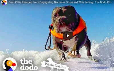 Hanging 10 with Mr. Breakfast