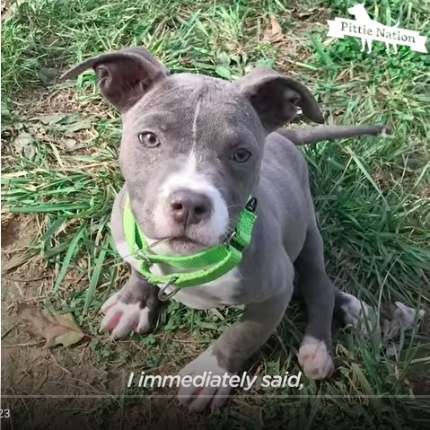 Wynona Does the Impossible