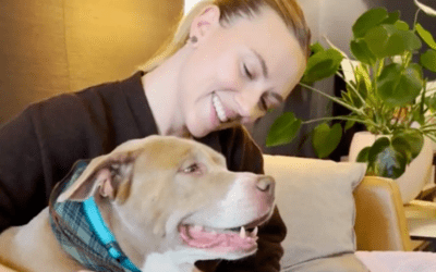 Scarlett Johansson Goes On Blind Date With A 12-Year-Old Pittie