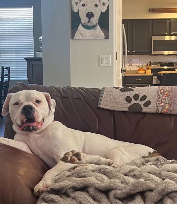 From the Desk of Lou Woodcock